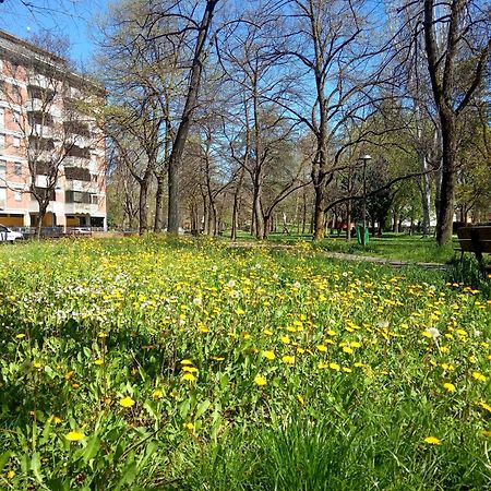 B&B Wiligelmo Intero Appartamento Con Colazione Inclusa Modena Exteriör bild